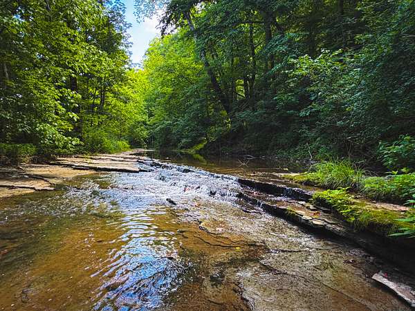 270 Acres of Land for Sale in Franklin, Tennessee