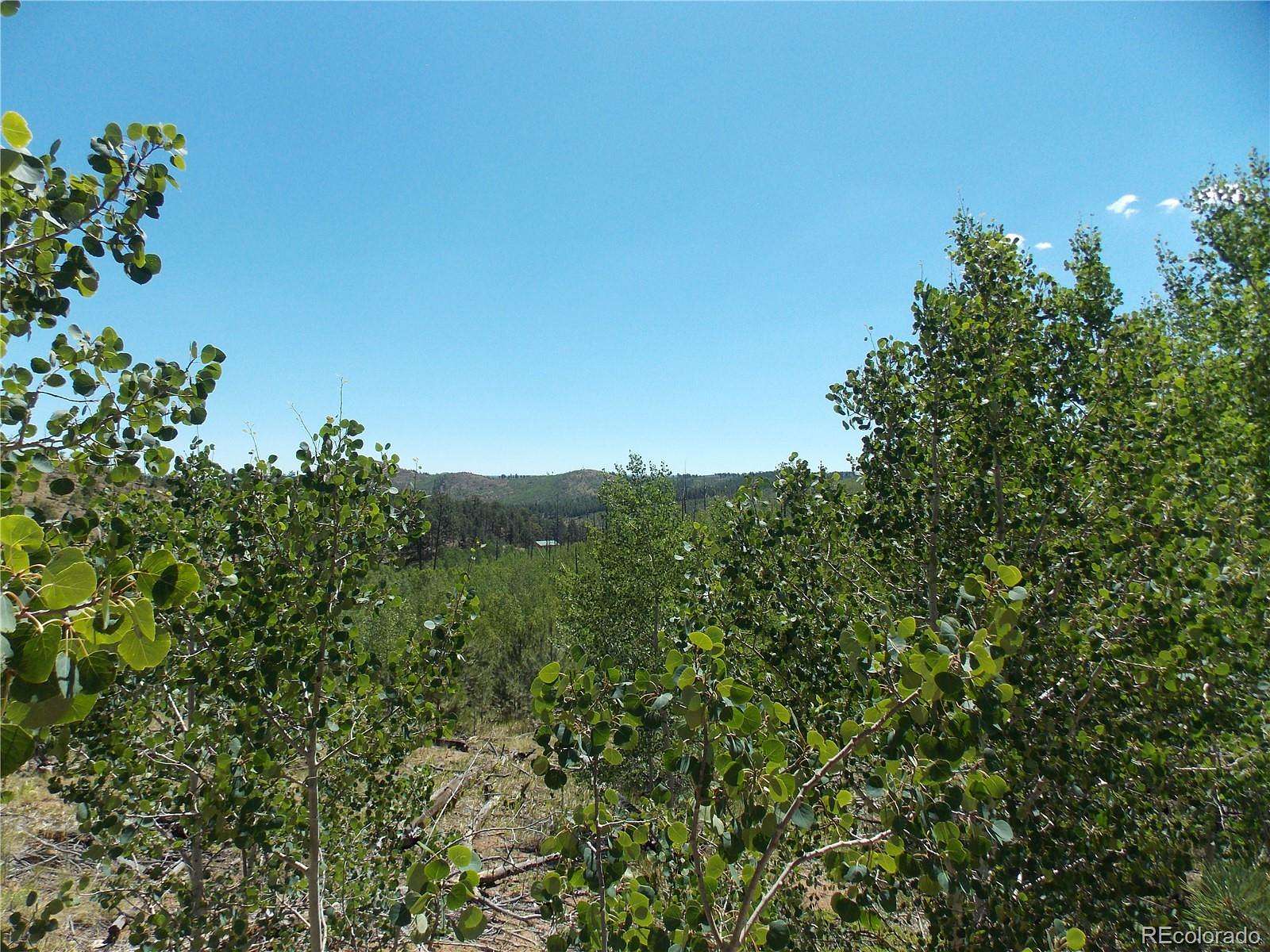 1 Acre of Residential Land for Sale in Florissant, Colorado