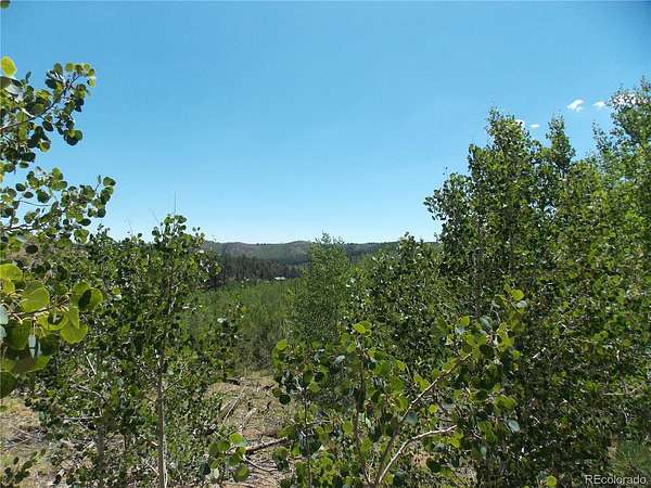 1 Acre of Residential Land for Sale in Florissant, Colorado