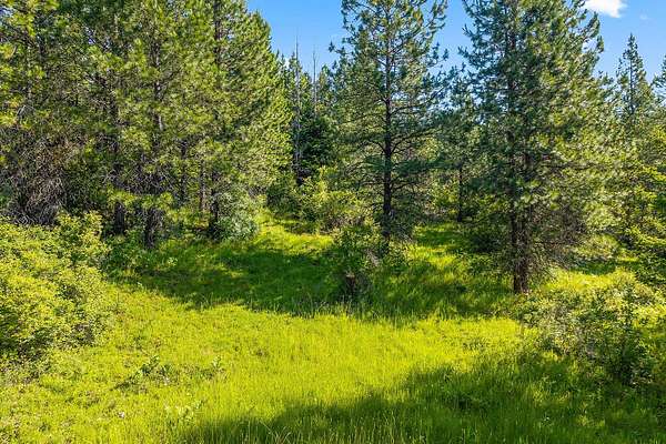 40 Acres of Recreational Land for Sale in Priest River, Idaho
