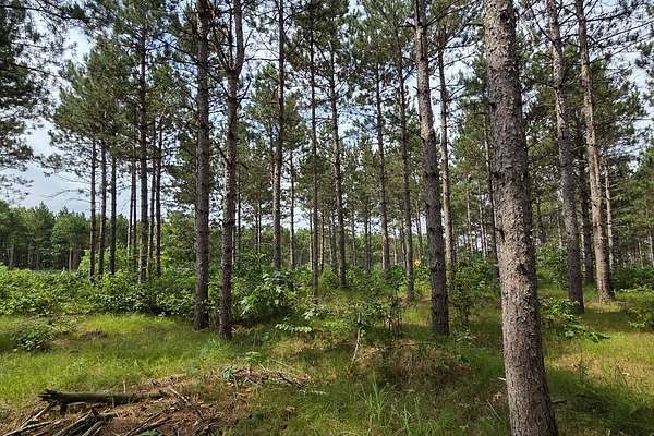 2.14 Acres of Residential Land for Sale in Rome, Wisconsin