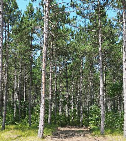 2.14 Acres of Residential Land for Sale in Rome, Wisconsin