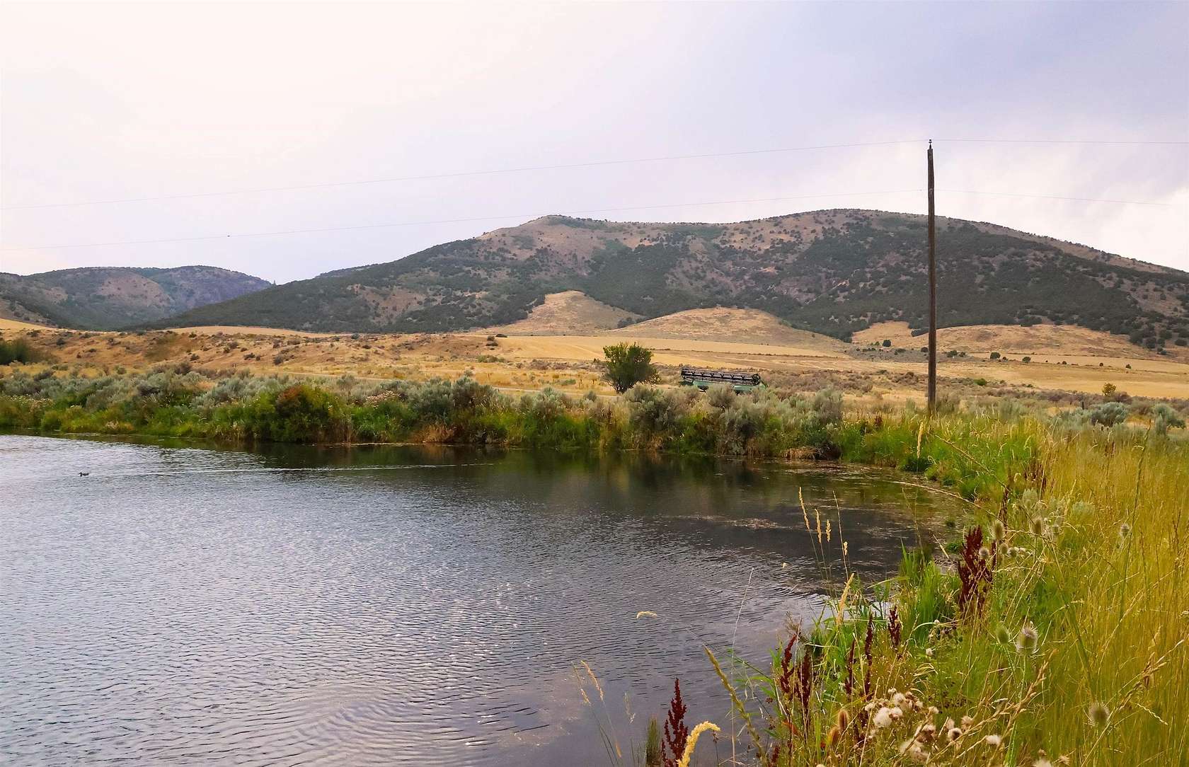 80 Acres of Recreational Land for Sale in Downey, Idaho
