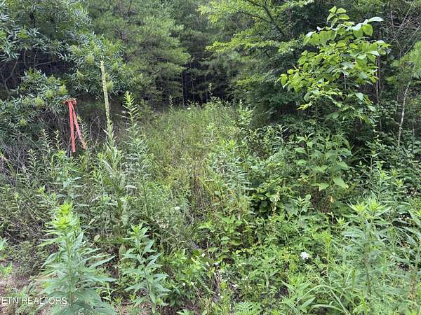 1.12 Acres of Residential Land for Sale in Bean Station, Tennessee