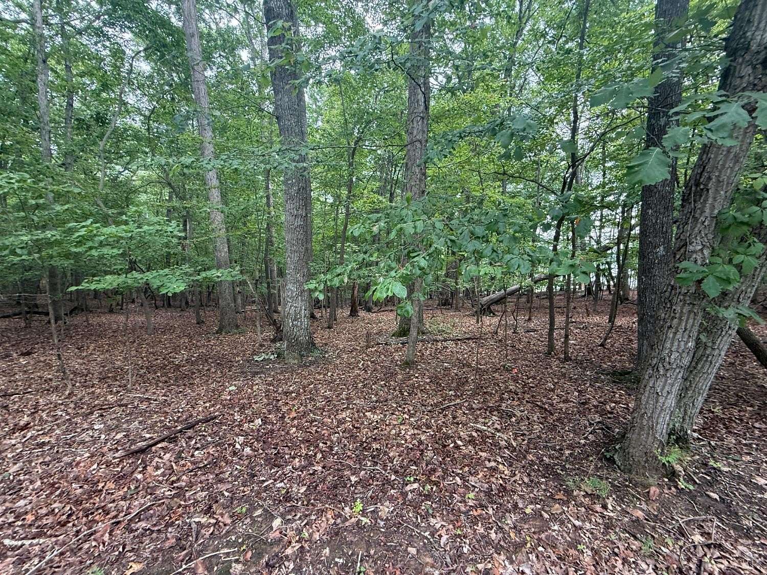 0.7 Acres of Residential Land for Sale in Huddleston, Virginia