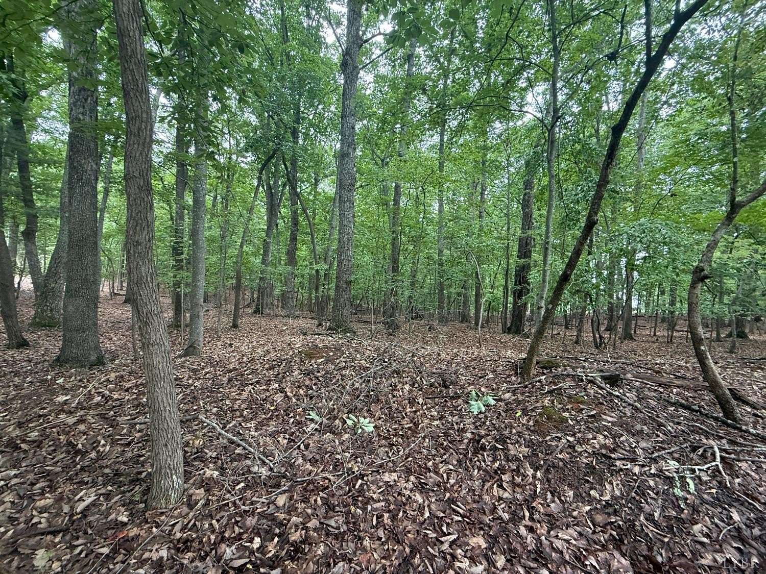 0.5 Acres of Residential Land for Sale in Huddleston, Virginia