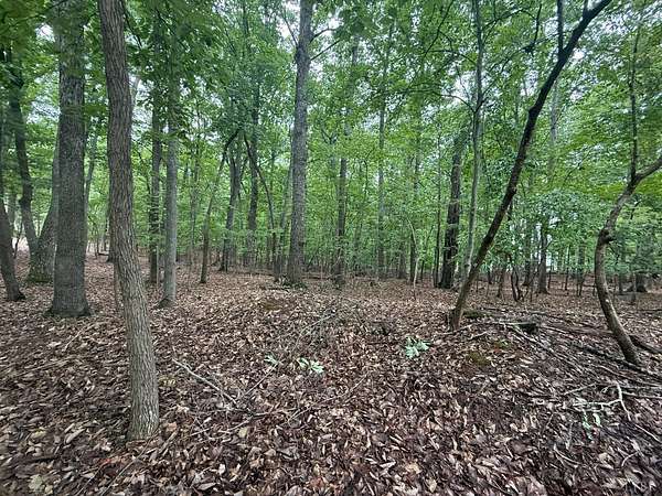 0.5 Acres of Residential Land for Sale in Huddleston, Virginia