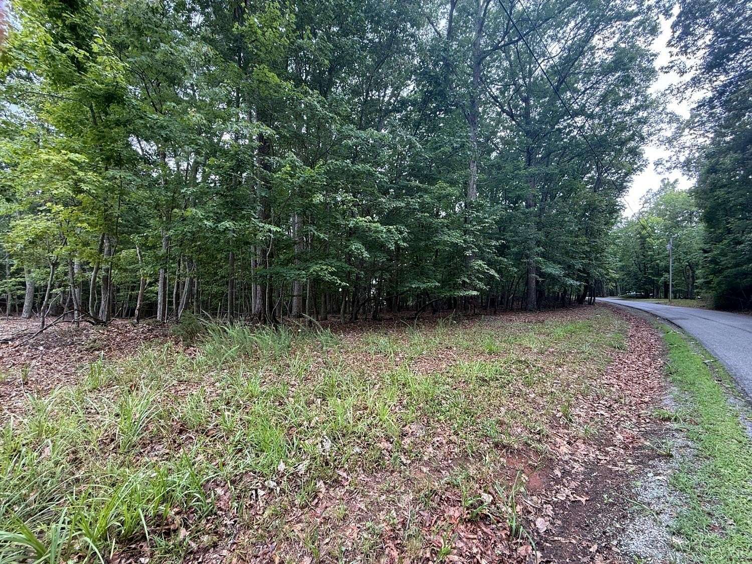 0.55 Acres of Residential Land for Sale in Huddleston, Virginia