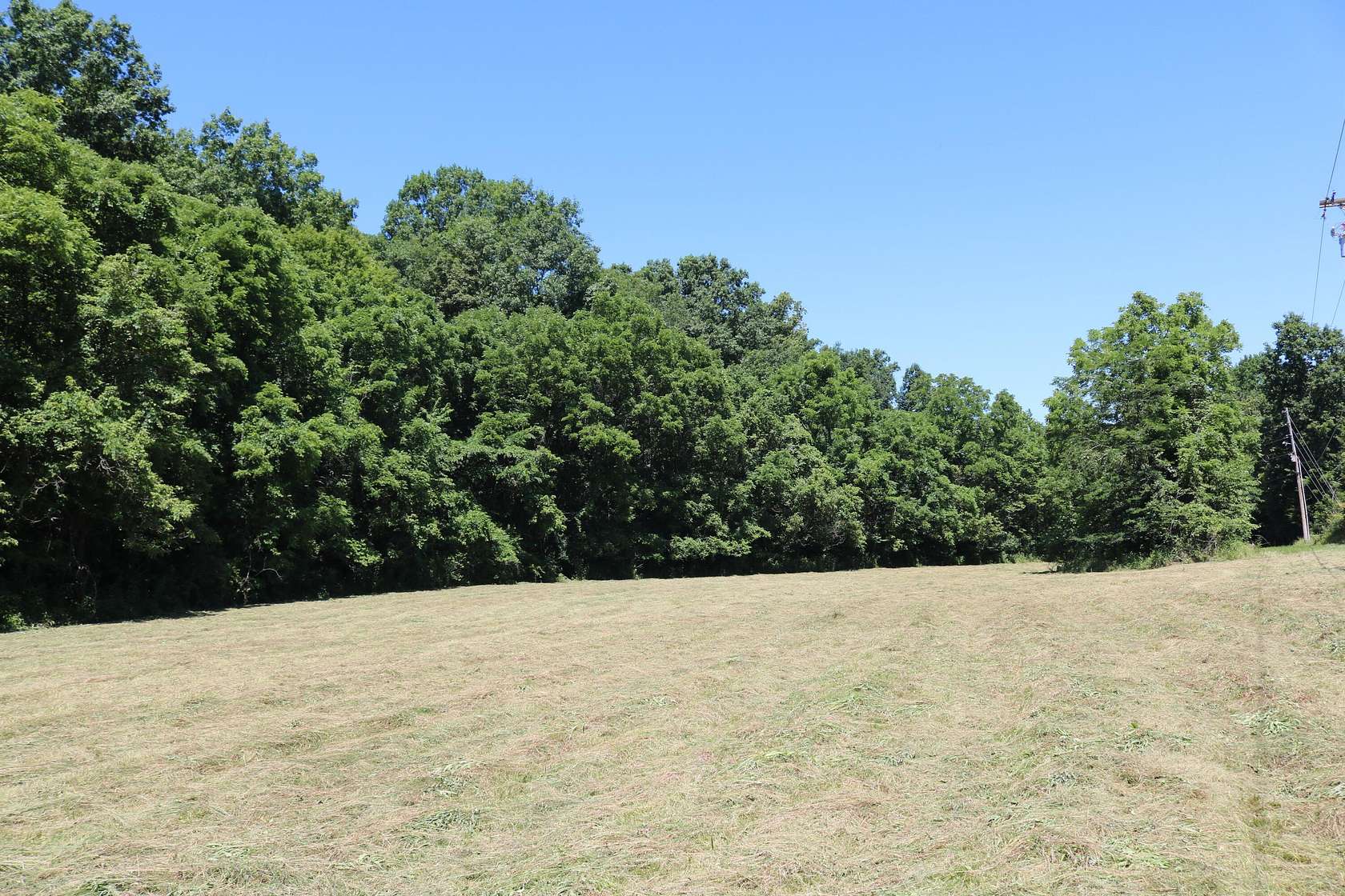 46 Acres of Recreational & Residential Land for Sale in Carlisle, Kentucky