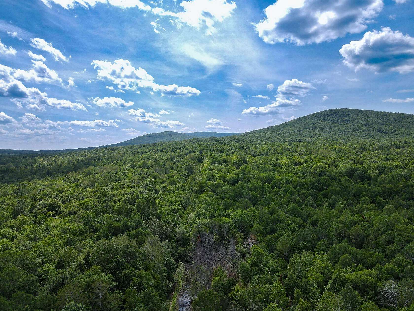 69.6 Acres of Land for Sale in Industry Town, Maine