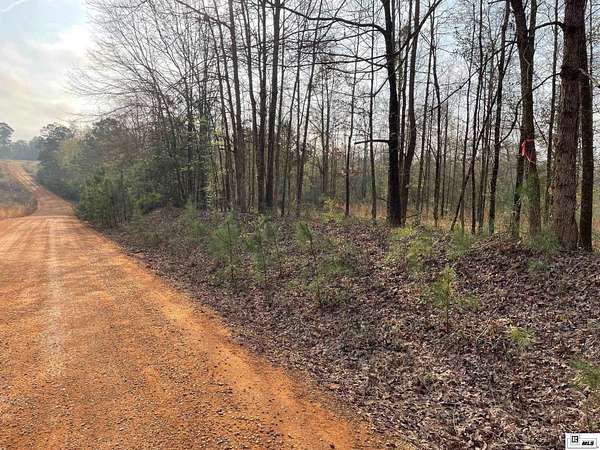 8 Acres of Land for Sale in Farmerville, Louisiana