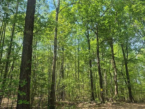3.54 Acres of Land for Sale in Farmville, Virginia