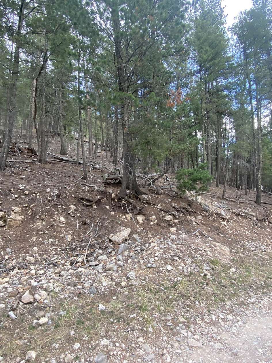 0.23 Acres of Residential Land for Sale in Cloudcroft, New Mexico