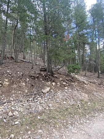 0.23 Acres of Residential Land for Sale in Cloudcroft, New Mexico