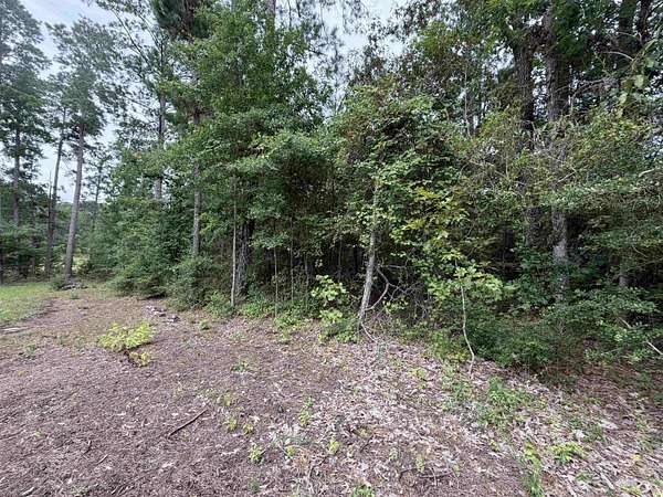 0.21 Acres of Residential Land for Sale in Brookeland, Texas