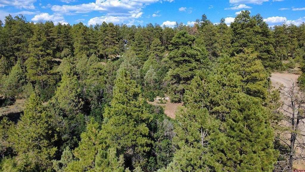 1.1 Acres of Residential Land for Sale in Pagosa Springs, Colorado