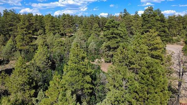 1.1 Acres of Residential Land for Sale in Pagosa Springs, Colorado
