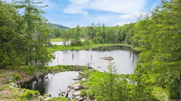20 Acres of Recreational Land for Sale in New Durham, New Hampshire