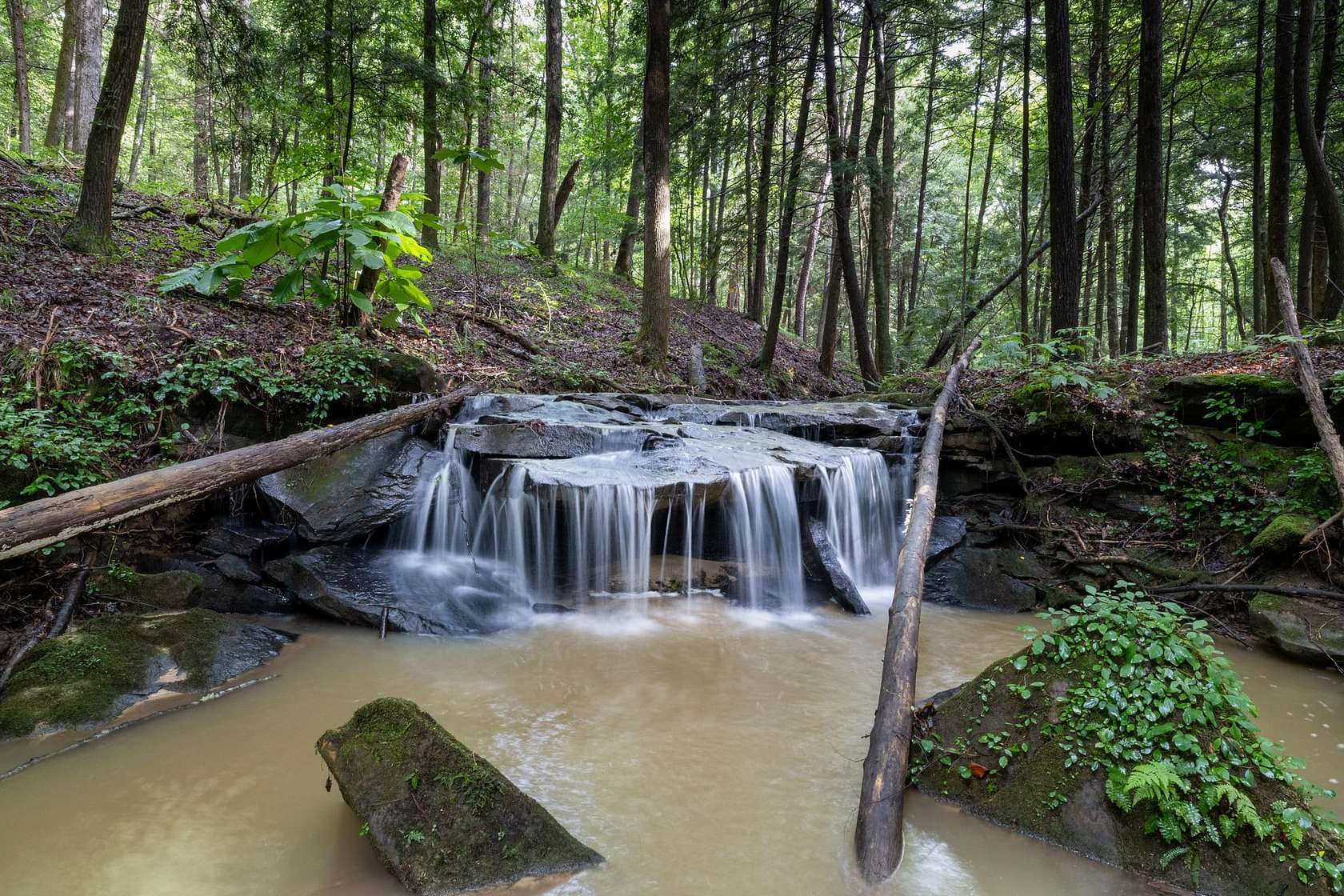 135 Acres of Land for Sale in Houston, Alabama