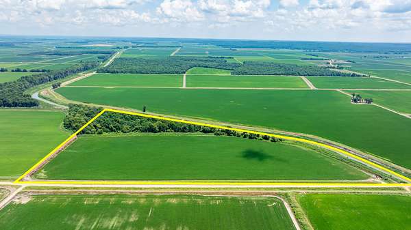 35 Acres of Land for Sale in Paragould, Arkansas