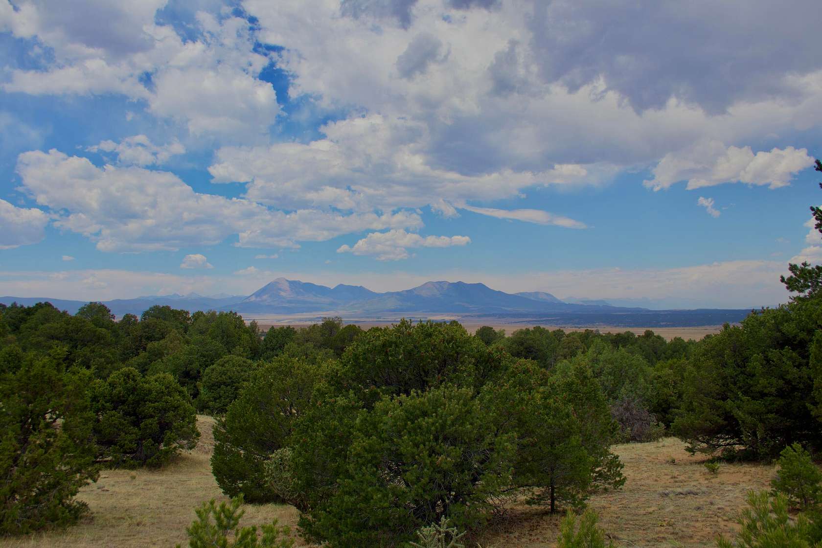 35 Acres of Land for Sale in La Veta, Colorado