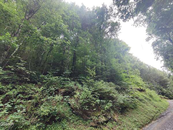 11.4 Acres of Land for Sale in Sevierville, Tennessee
