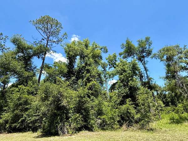 0.66 Acres of Residential Land for Sale in Live Oak, Florida