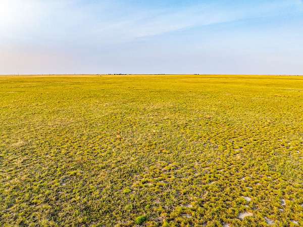 320 Acres of Land for Sale in Guymon, Oklahoma