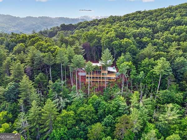 2 Acres of Land with Home for Sale in Cherry Log, Georgia