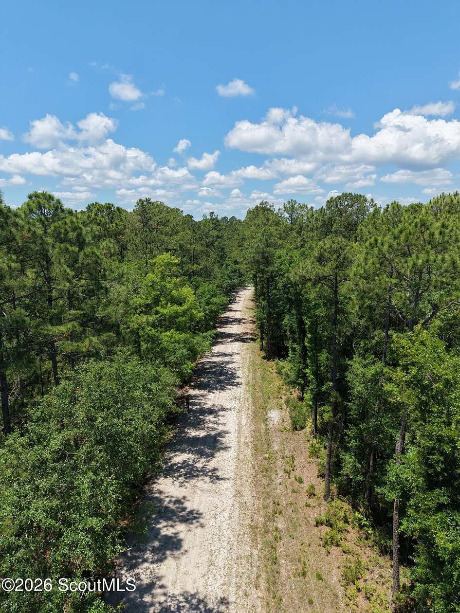 6 Acres of Residential Land for Sale in Waverly, Georgia