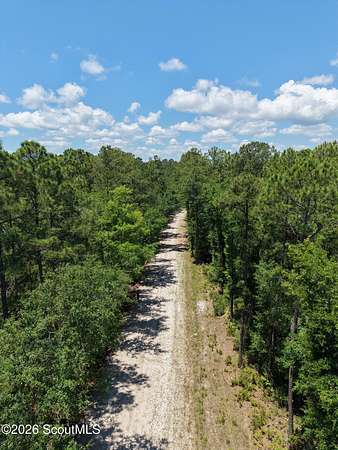6 Acres of Residential Land for Sale in Waverly, Georgia