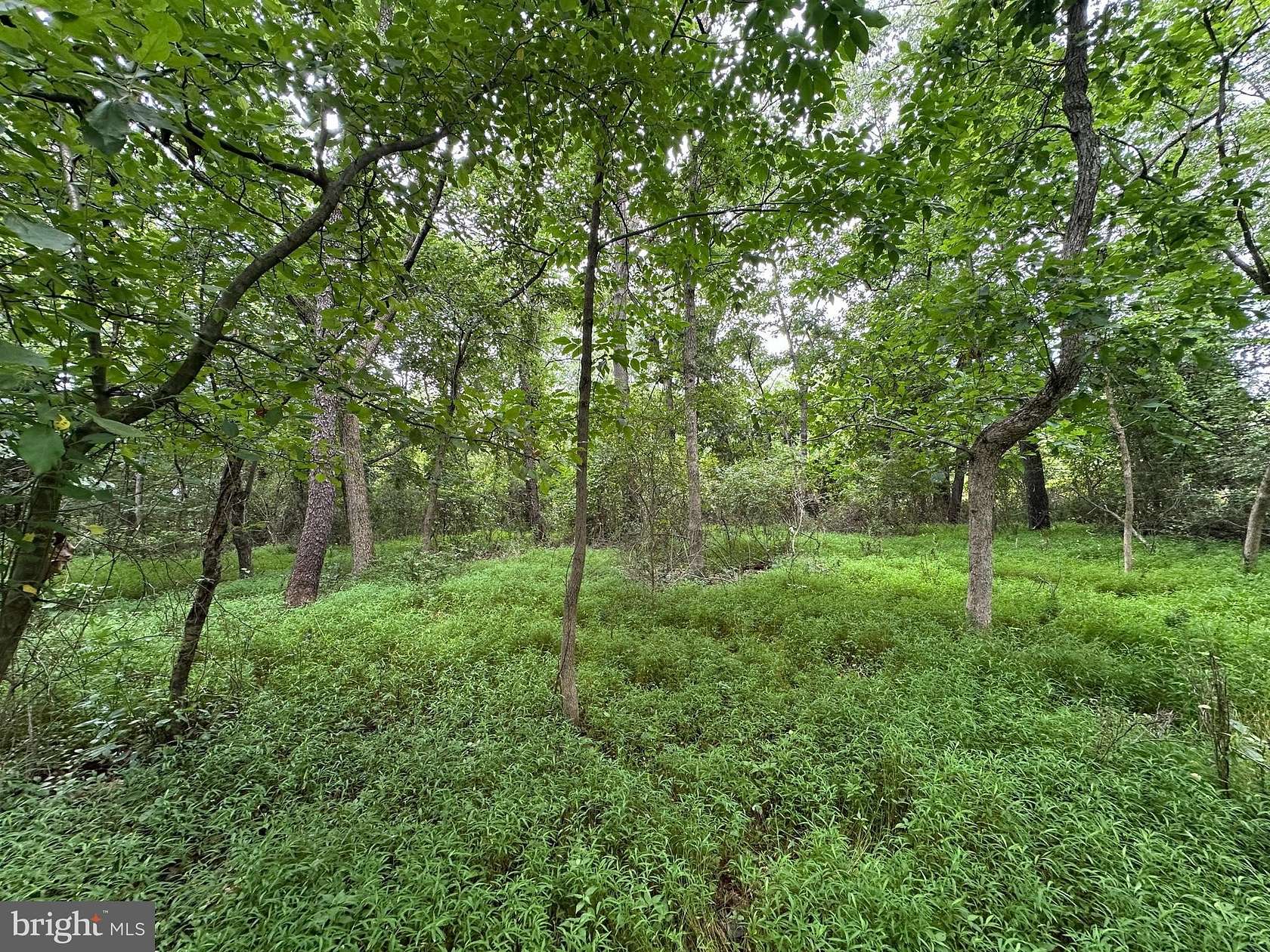 9 Acres of Residential Land for Sale in Waynesboro, Pennsylvania