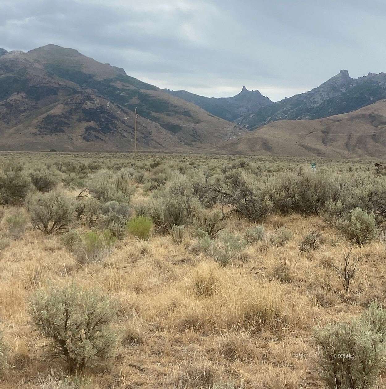 3.8 Acres of Residential Land for Sale in Lamoille, Nevada