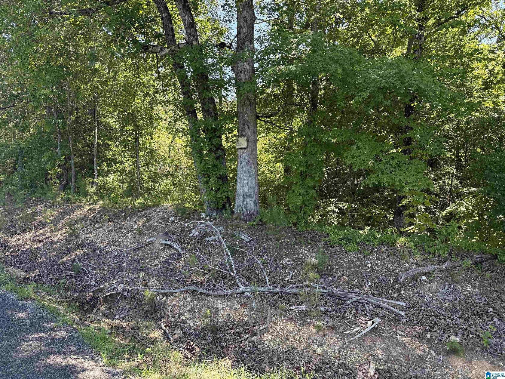 12 Acres of Recreational & Residential Land for Sale in Attalla, Alabama