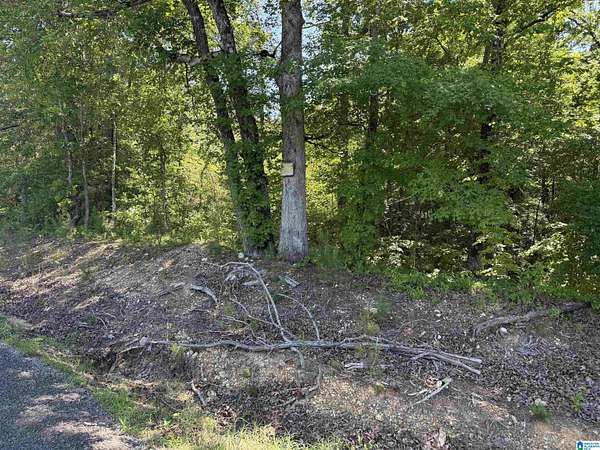 12 Acres of Recreational & Residential Land for Sale in Attalla, Alabama