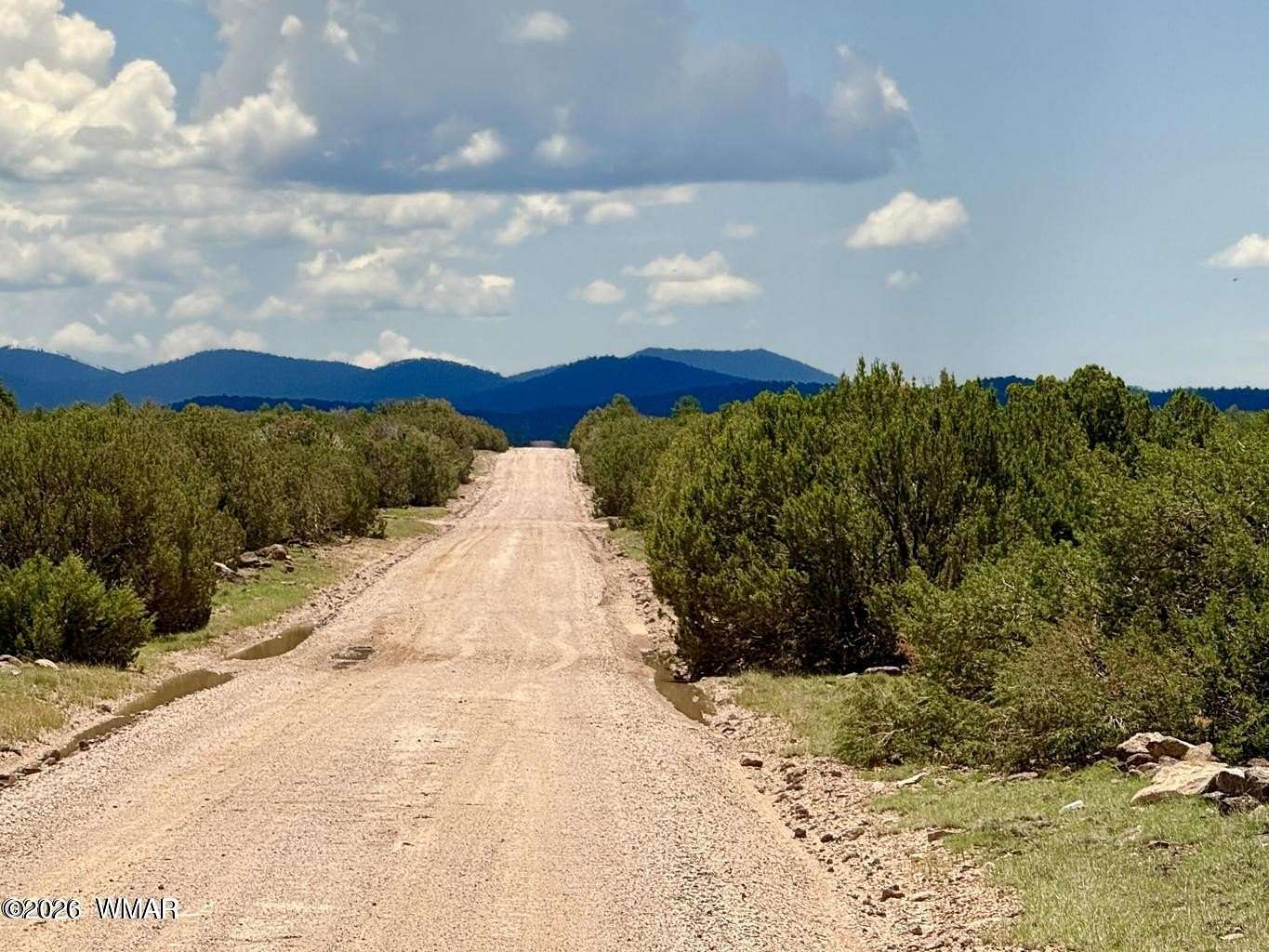 1 Acre of Residential Land for Sale in Concho, Arizona