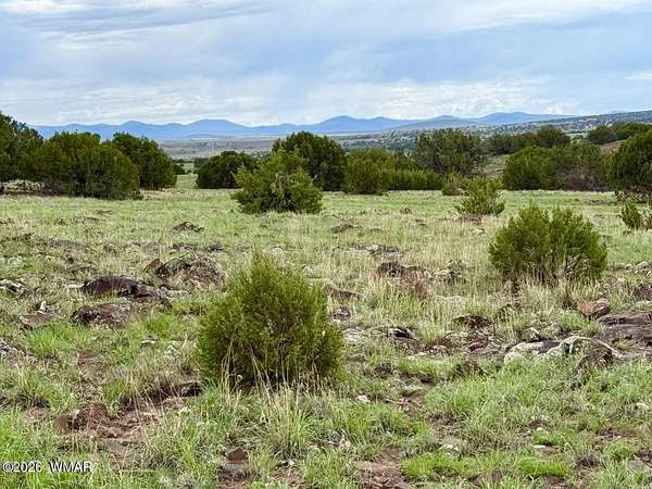 1 Acre of Residential Land for Sale in Concho, Arizona