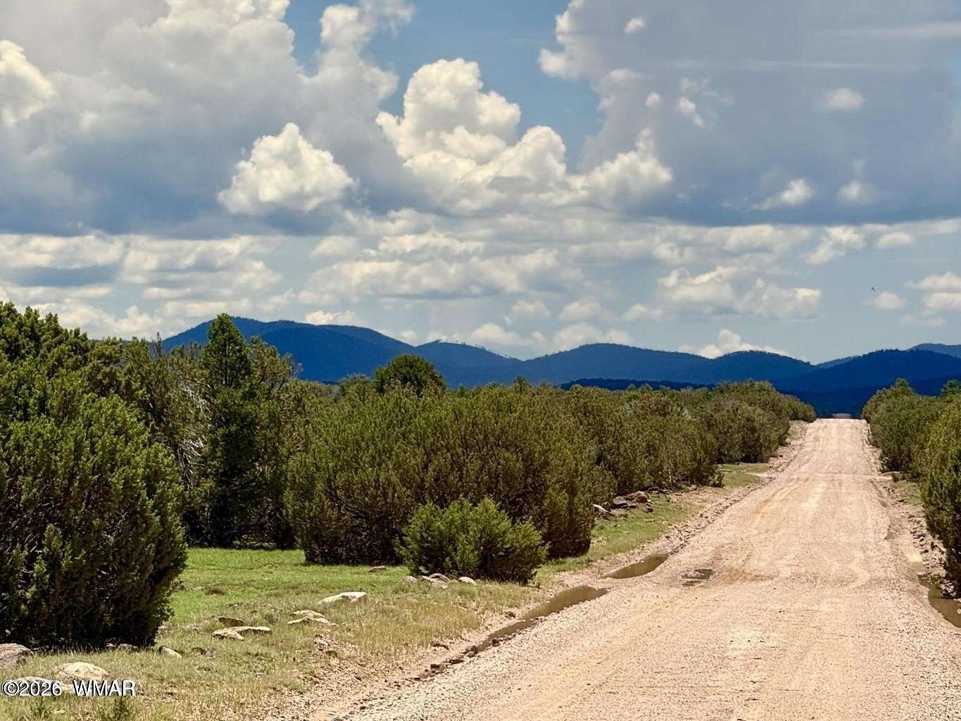 1 Acre of Residential Land for Sale in Concho, Arizona
