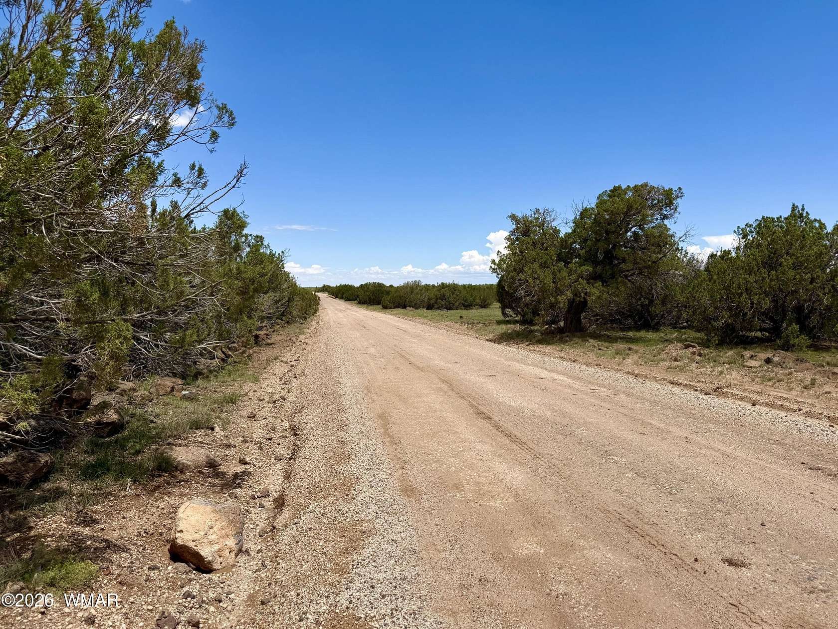 1 Acre of Residential Land for Sale in Concho, Arizona