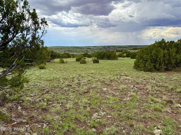 1 Acre of Residential Land for Sale in Concho, Arizona