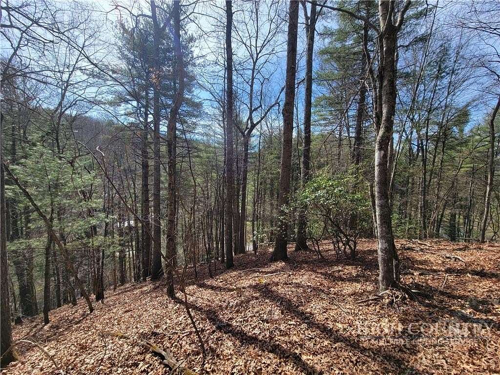 1 Acre of Residential Land for Sale in Fleetwood, North Carolina