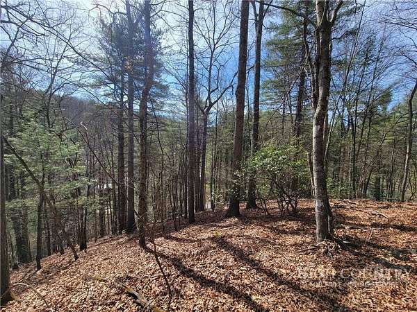 1 Acre of Residential Land for Sale in Fleetwood, North Carolina