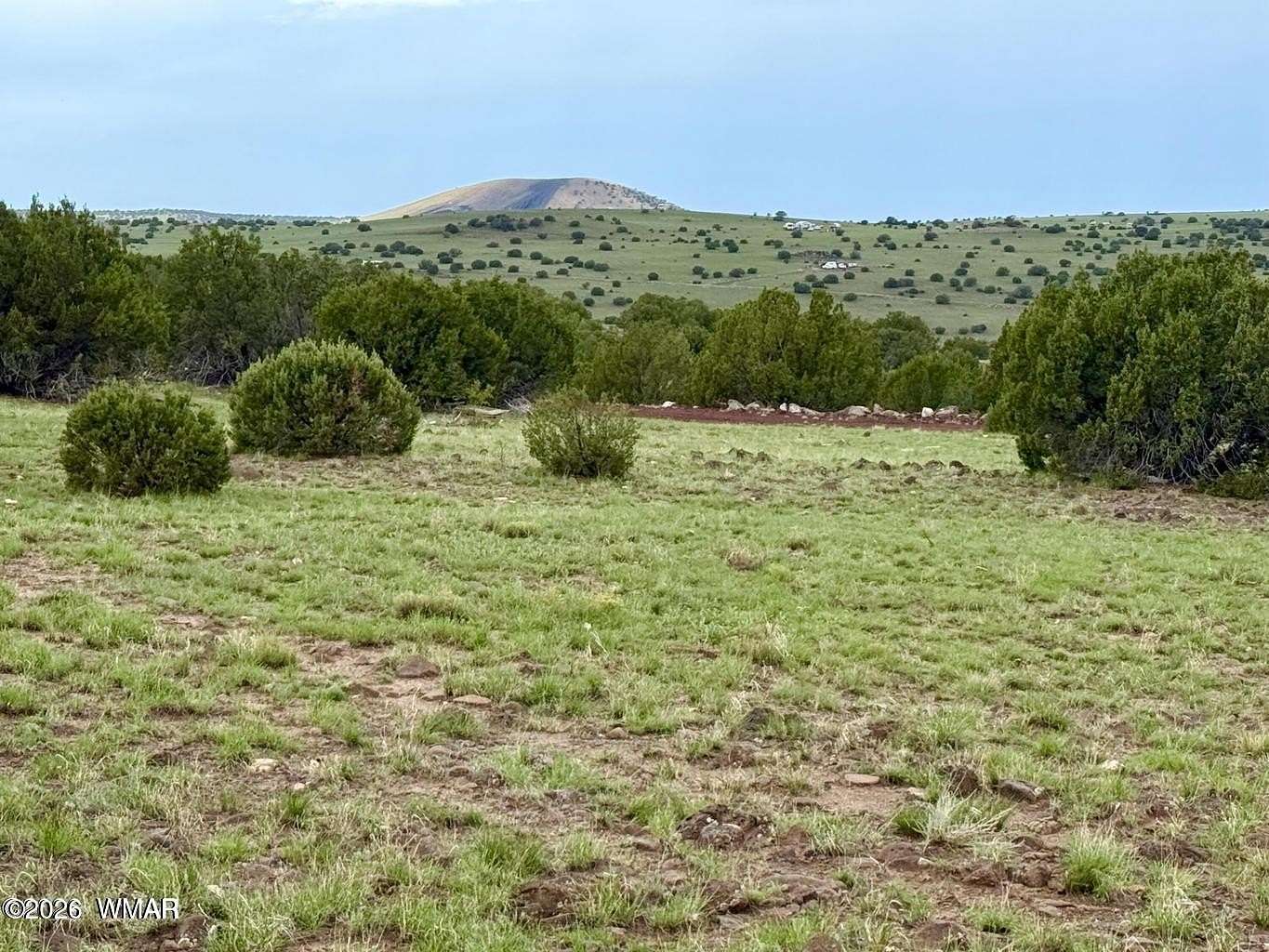 1 Acre of Residential Land for Sale in Concho, Arizona