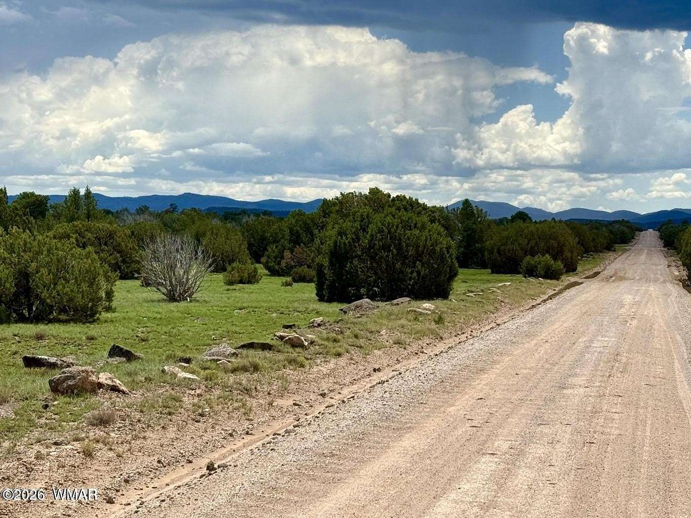 1 Acre of Residential Land for Sale in Concho, Arizona