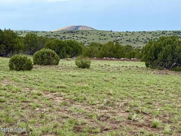 1 Acre of Residential Land for Sale in Concho, Arizona