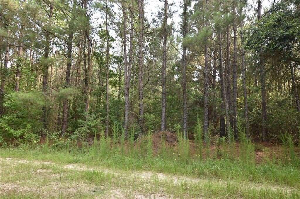 74 Acres of Recreational Land for Sale in Pearl River, Louisiana