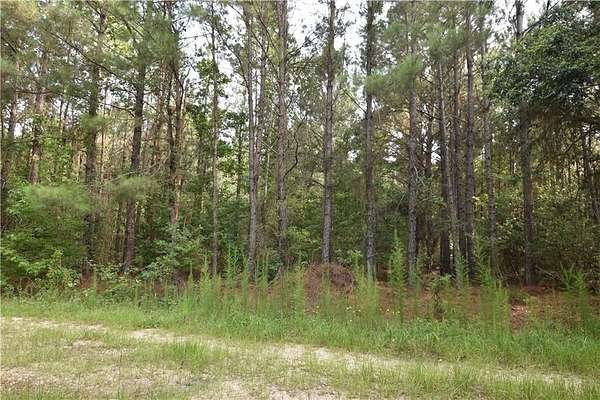 74 Acres of Recreational Land for Sale in Pearl River, Louisiana