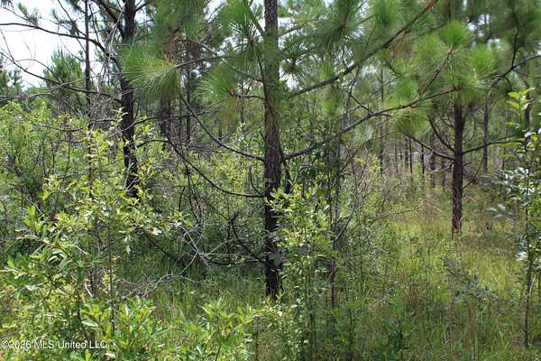 6.66 Acres of Residential Land for Sale in Lucedale, Mississippi