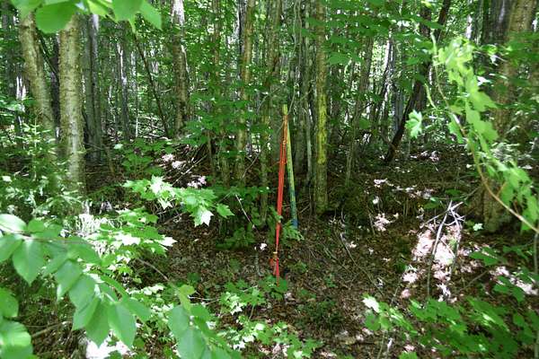 40 Acres of Recreational Land for Sale in Carrying Place Township, Maine