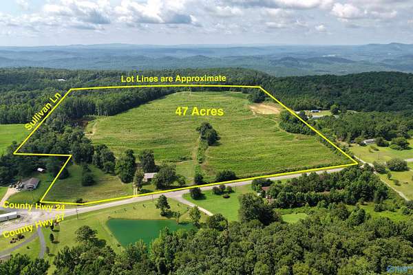 47 Acres of Land for Sale in Springville, Alabama